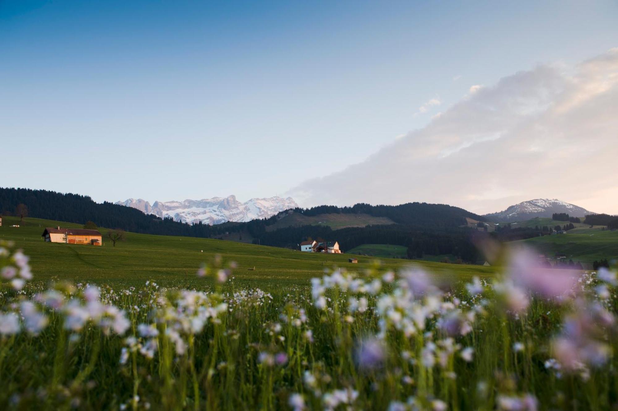 Hotel Landgasthof Eischen Appenzell Εξωτερικό φωτογραφία